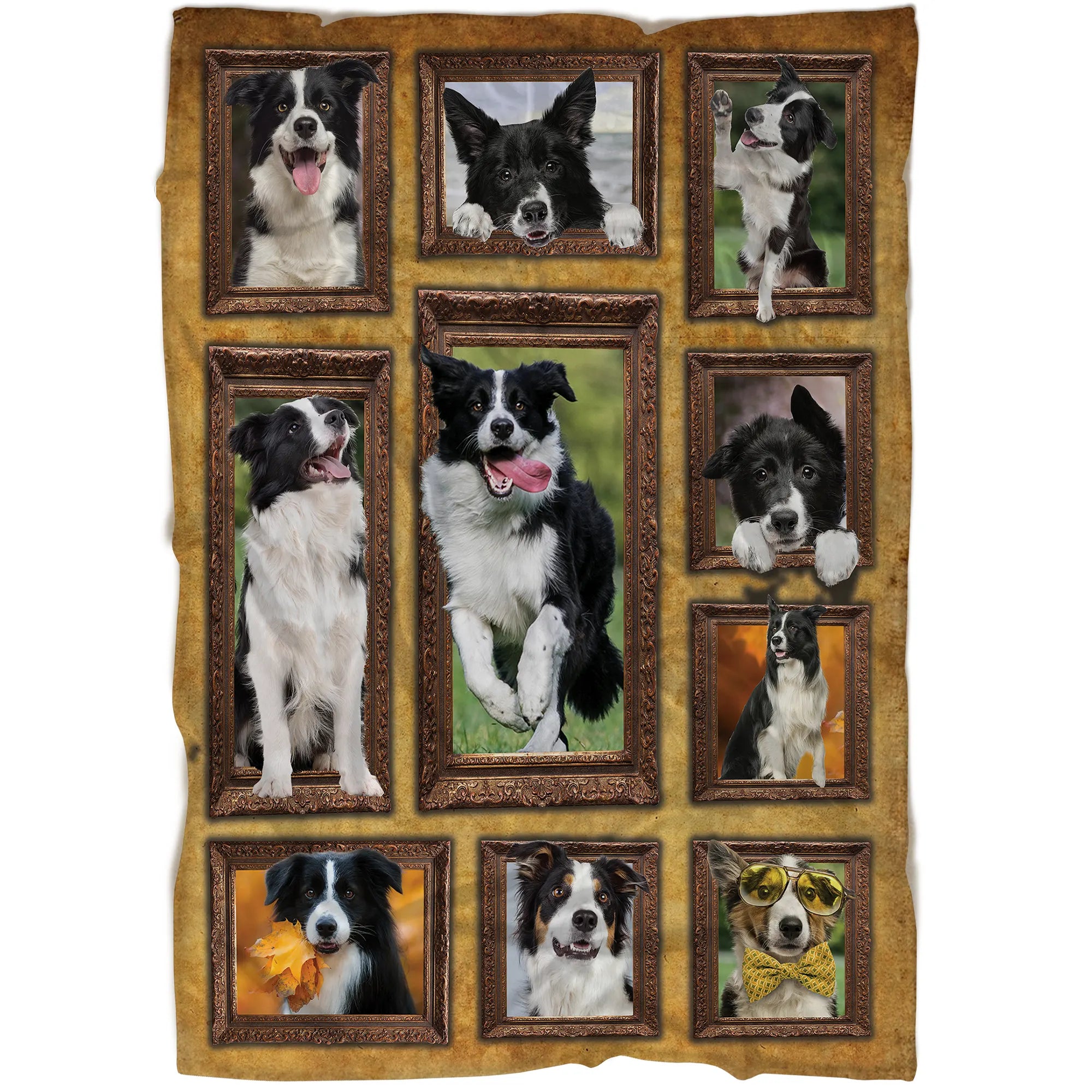 Couverture Border Collie, Race De Chien De Troupeaux - CT28092223