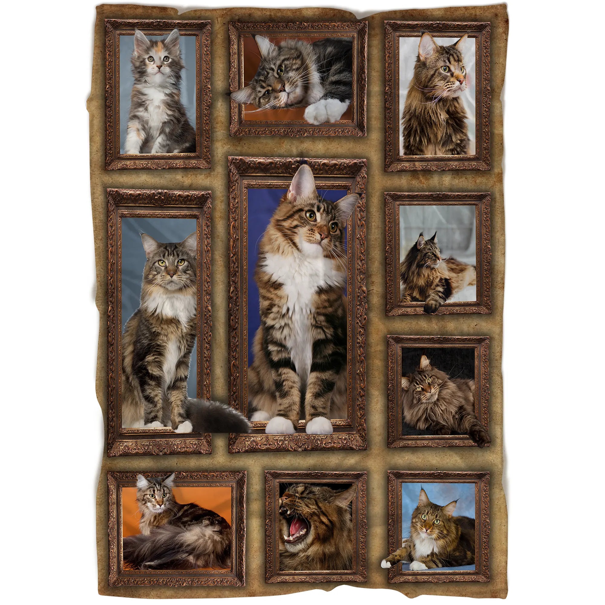 Plaid Maine Coon Chat 3D, Cadeau Pour Fan De Chats - CT19122241